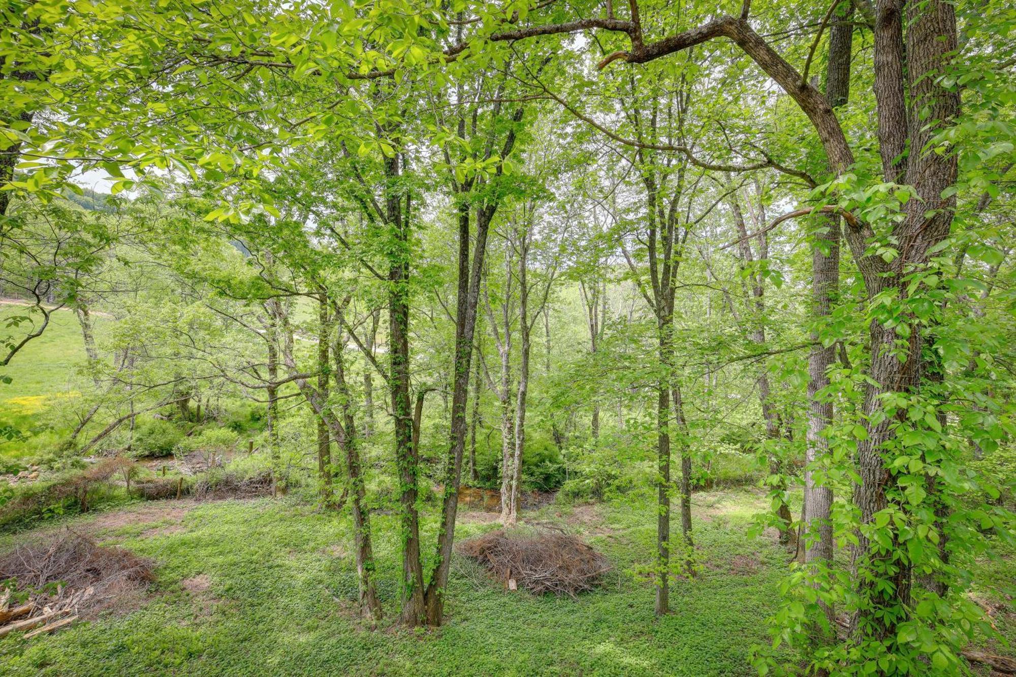 Quaint Blue Ridge Cabin Rental With On-Site Stream! Sparta 外观 照片